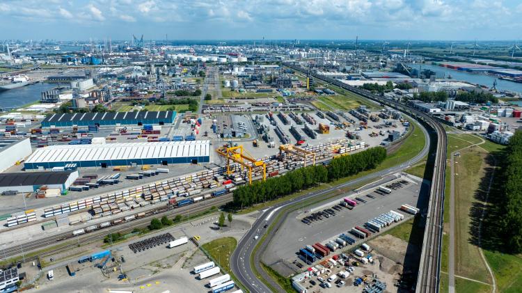 2026年2月比利时清关数据报告：欧洲清关效率持续优化-乐丰货运｜乐丰国际货运｜乐丰电商物流