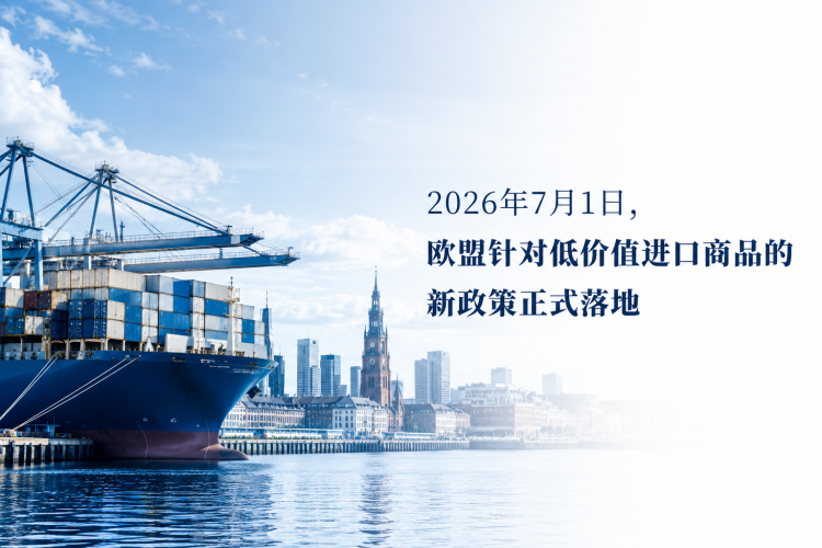 2026年7月1日,欧盟针对低价值进口商品的新政策正式落地-乐丰货运|乐丰国际货运|乐丰电商物流